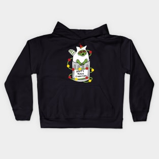 Funny raccoon Kids Hoodie